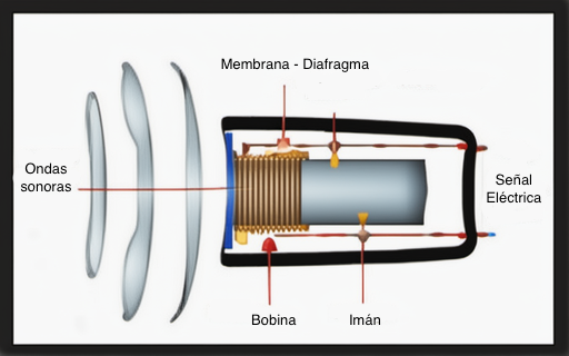 membrana de un microfono